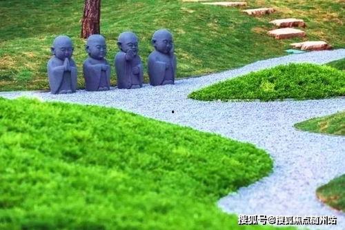 青年艾最新爆料解析,深度解析背后真相